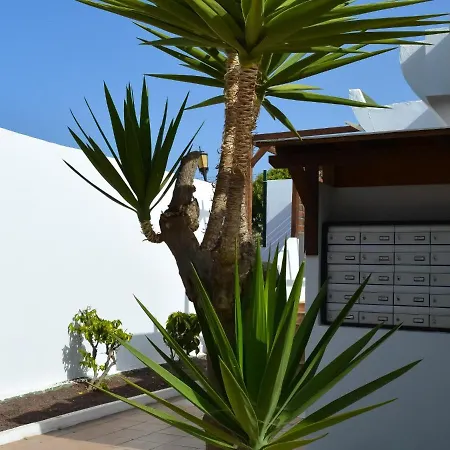 Dunasol 341 Corralejo Exterior foto